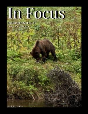 Flipbook preview